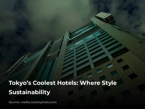 Tokyo’s Coolest Hotels: Where Style Meets Sustainability