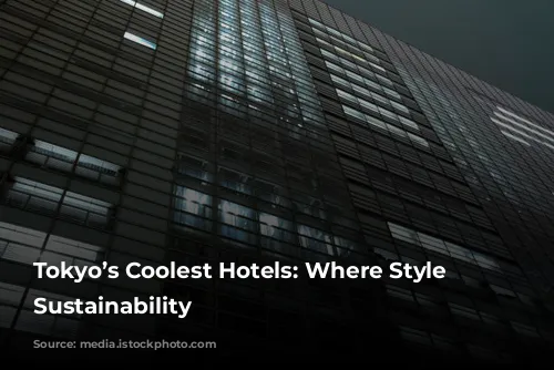 Tokyo’s Coolest Hotels: Where Style Meets Sustainability