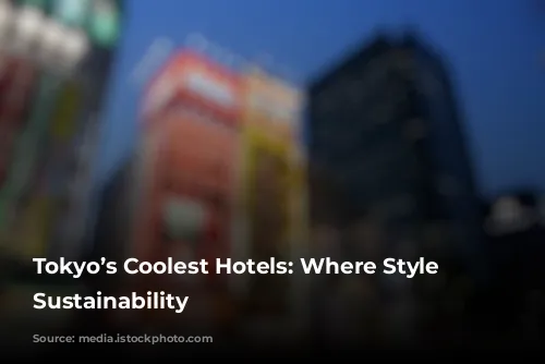 Tokyo’s Coolest Hotels: Where Style Meets Sustainability