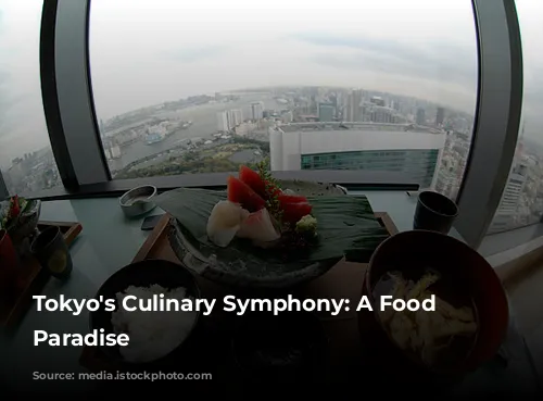 Tokyo's Culinary Symphony: A Food Lover's Paradise