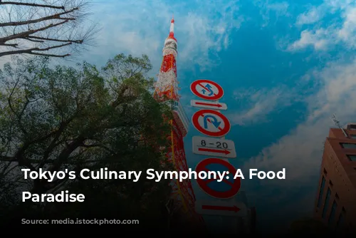 Tokyo's Culinary Symphony: A Food Lover's Paradise