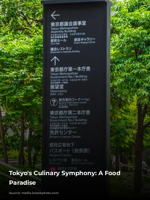 Tokyo's Culinary Symphony: A Food Lover's Paradise