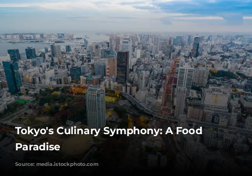 Tokyo's Culinary Symphony: A Food Lover's Paradise