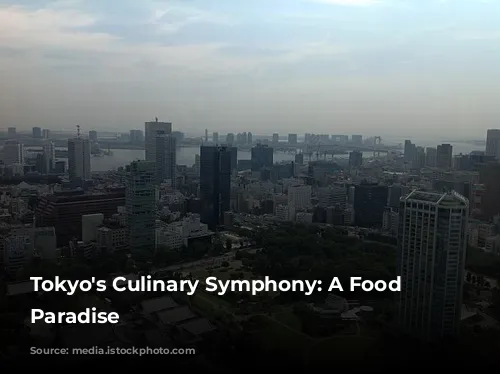 Tokyo's Culinary Symphony: A Food Lover's Paradise