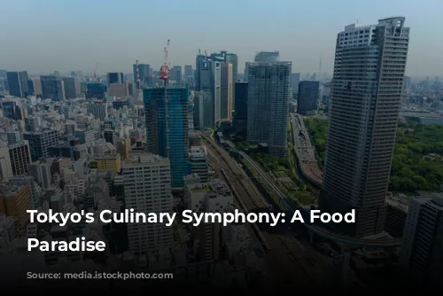 Tokyo's Culinary Symphony: A Food Lover's Paradise