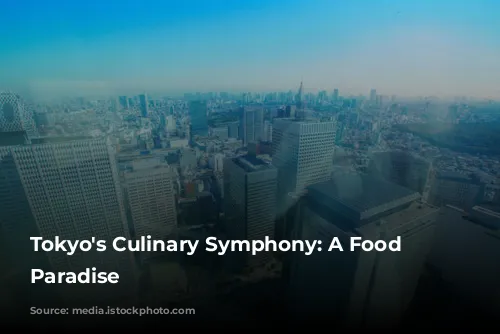 Tokyo's Culinary Symphony: A Food Lover's Paradise