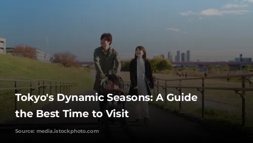 Tokyo's Dynamic Seasons: A Guide to the Best Time to Visit