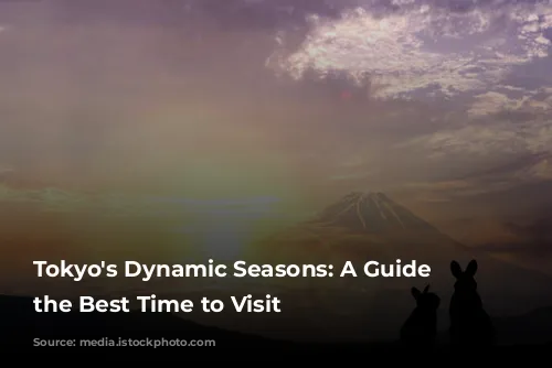 Tokyo's Dynamic Seasons: A Guide to the Best Time to Visit