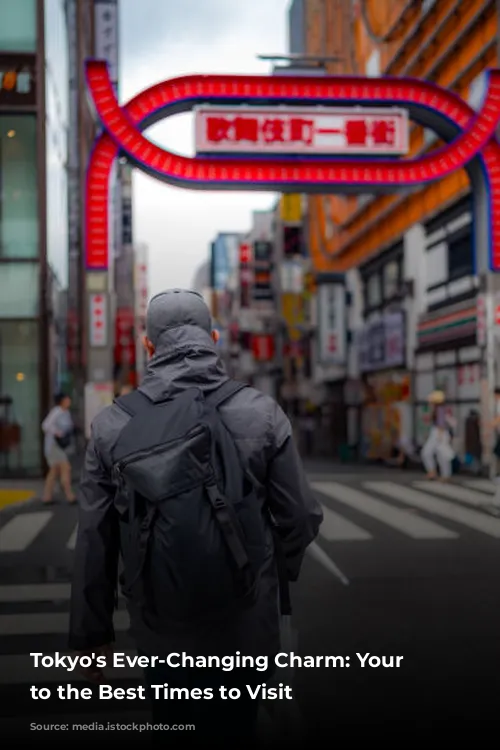 Tokyo's Ever-Changing Charm: Your Guide to the Best Times to Visit