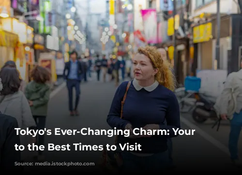 Tokyo's Ever-Changing Charm: Your Guide to the Best Times to Visit