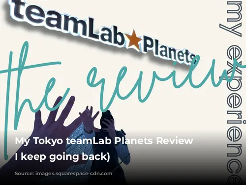 My Tokyo teamLab Planets Review (why I keep going back)