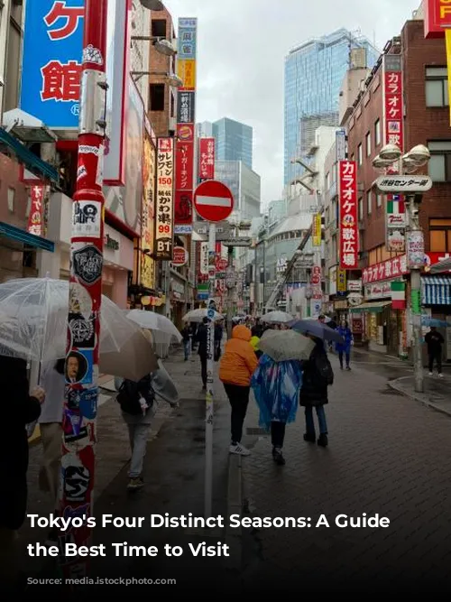 Tokyo's Four Distinct Seasons: A Guide to the Best Time to Visit