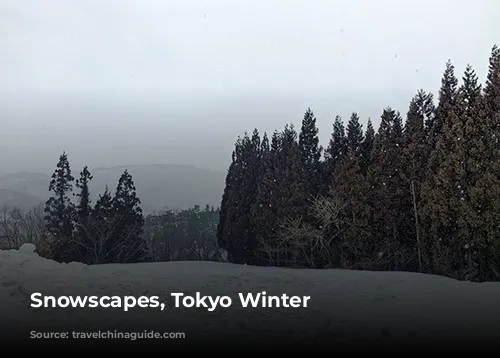 Snowscapes, Tokyo Winter