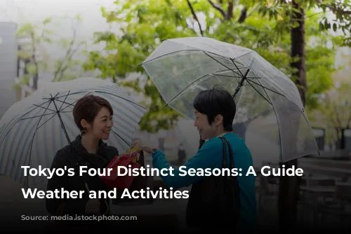 Tokyo's Four Distinct Seasons: A Guide to Weather and Activities