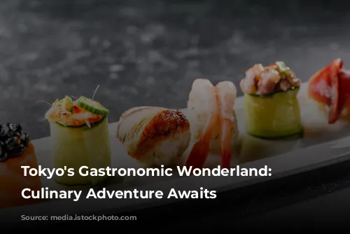 Tokyo's Gastronomic Wonderland: A Culinary Adventure Awaits