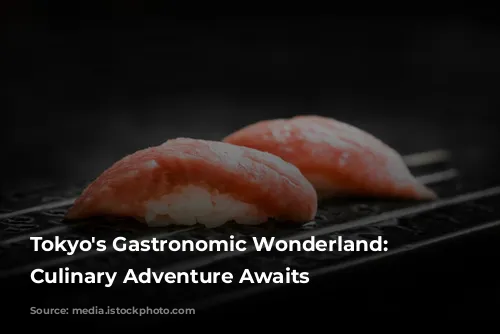 Tokyo's Gastronomic Wonderland: A Culinary Adventure Awaits