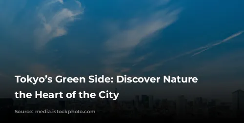 Tokyo’s Green Side: Discover Nature in the Heart of the City