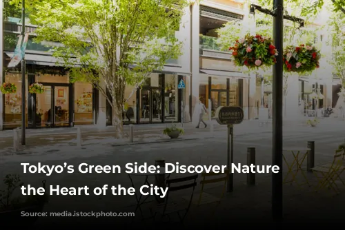 Tokyo’s Green Side: Discover Nature in the Heart of the City