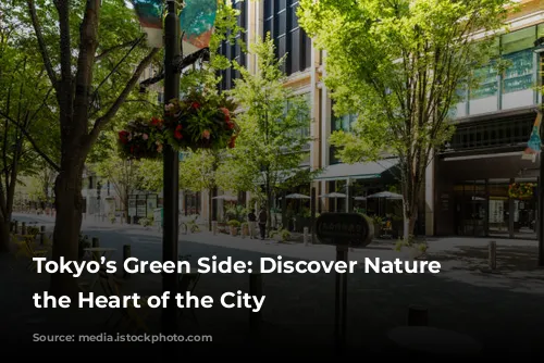 Tokyo’s Green Side: Discover Nature in the Heart of the City