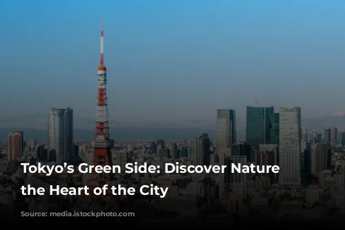 Tokyo’s Green Side: Discover Nature in the Heart of the City