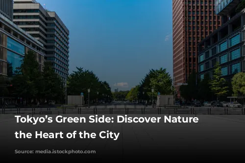 Tokyo’s Green Side: Discover Nature in the Heart of the City