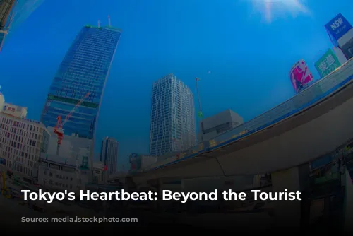 Tokyo's Heartbeat: Beyond the Tourist Trail