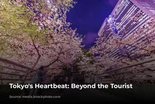 Tokyo's Heartbeat: Beyond the Tourist Trail