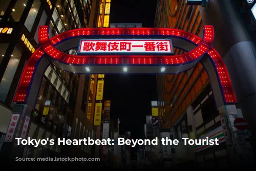 Tokyo's Heartbeat: Beyond the Tourist Trail