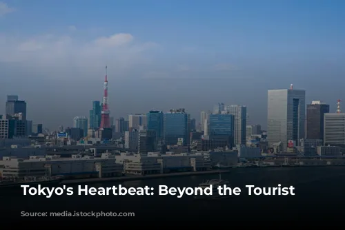 Tokyo's Heartbeat: Beyond the Tourist Trail