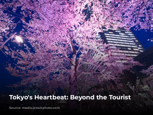 Tokyo's Heartbeat: Beyond the Tourist Trail