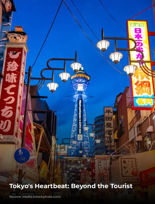 Tokyo's Heartbeat: Beyond the Tourist Trail