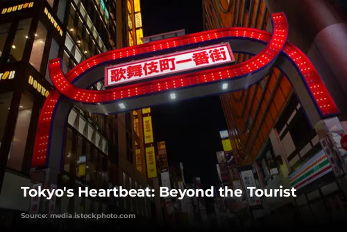 Tokyo's Heartbeat: Beyond the Tourist Trail