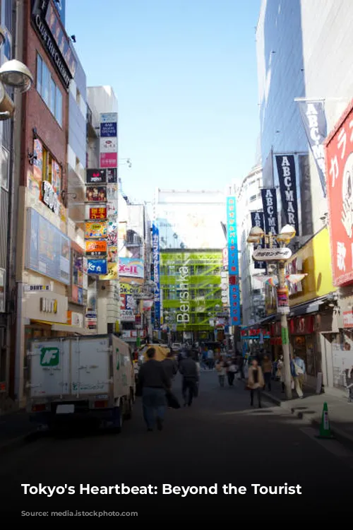 Tokyo's Heartbeat: Beyond the Tourist Trail