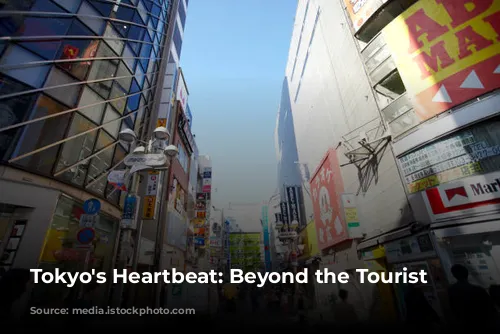 Tokyo's Heartbeat: Beyond the Tourist Trail