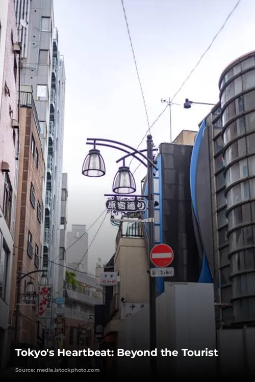 Tokyo's Heartbeat: Beyond the Tourist Trail