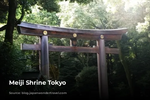 Meiji Shrine Tokyo