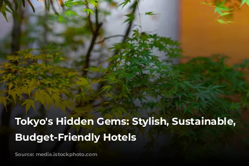 Tokyo's Hidden Gems: Stylish, Sustainable, and Budget-Friendly Hotels