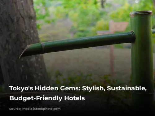 Tokyo's Hidden Gems: Stylish, Sustainable, and Budget-Friendly Hotels