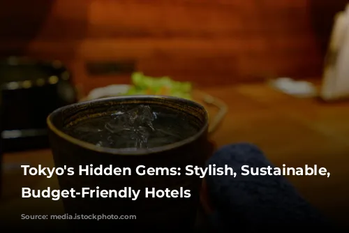 Tokyo's Hidden Gems: Stylish, Sustainable, and Budget-Friendly Hotels