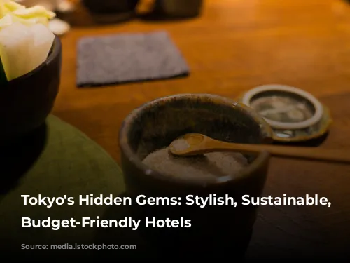 Tokyo's Hidden Gems: Stylish, Sustainable, and Budget-Friendly Hotels