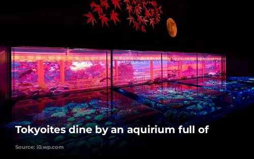 Tokyoites dine by an aquirium full of fish