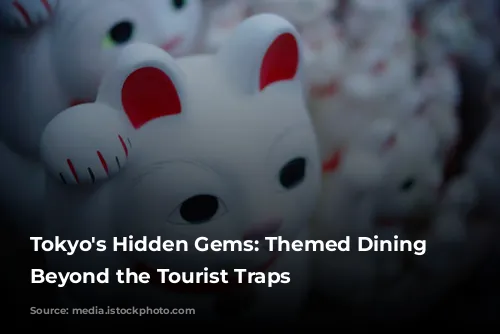 Tokyo's Hidden Gems: Themed Dining Experiences Beyond the Tourist Traps