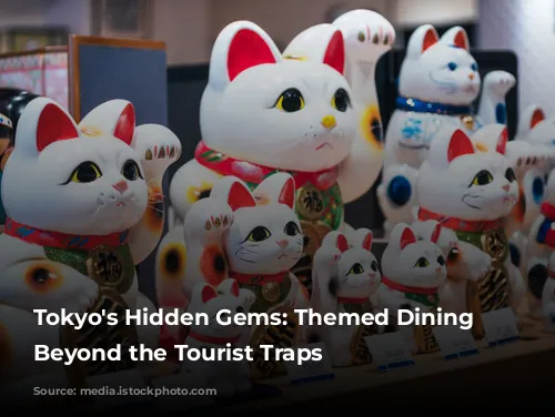 Tokyo's Hidden Gems: Themed Dining Experiences Beyond the Tourist Traps