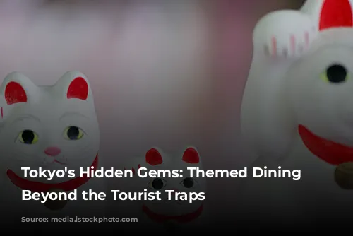 Tokyo's Hidden Gems: Themed Dining Experiences Beyond the Tourist Traps