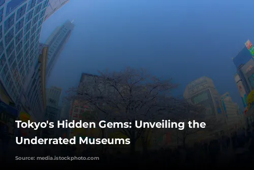 Tokyo's Hidden Gems: Unveiling the City's Underrated Museums