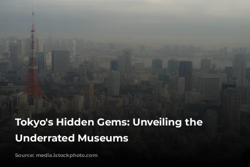 Tokyo's Hidden Gems: Unveiling the City's Underrated Museums