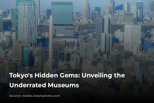 Tokyo's Hidden Gems: Unveiling the City's Underrated Museums