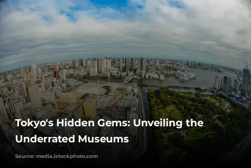 Tokyo's Hidden Gems: Unveiling the City's Underrated Museums