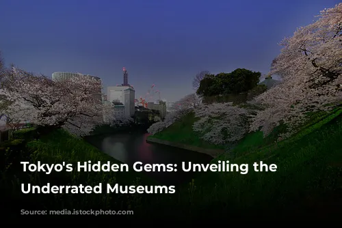 Tokyo's Hidden Gems: Unveiling the City's Underrated Museums