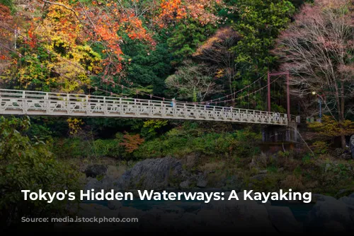 Tokyo's Hidden Waterways: A Kayaking Adventure